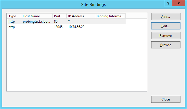 working IIS binding