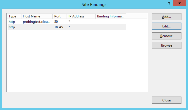 problematic IIS binding
